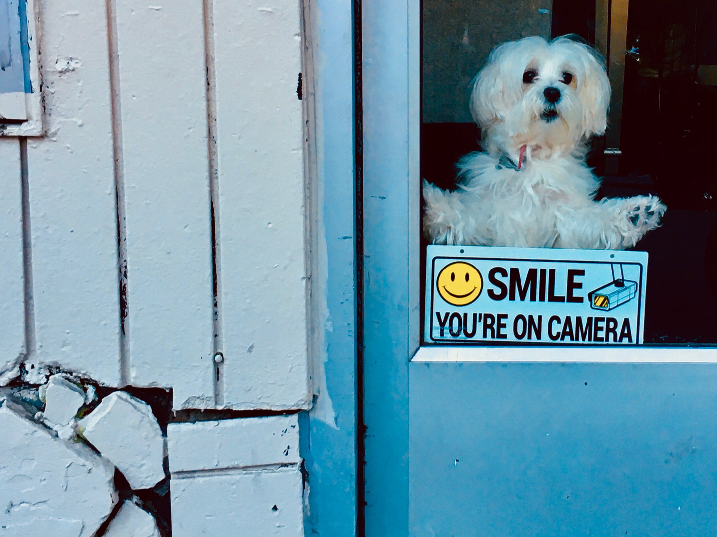 "SMILE" by Anita Beshirs