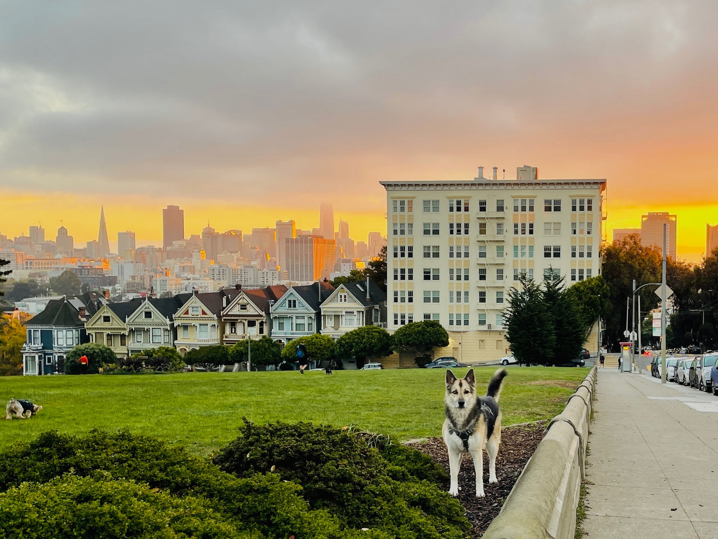 "Alamo Square Sunrise" by Anita Beshirs