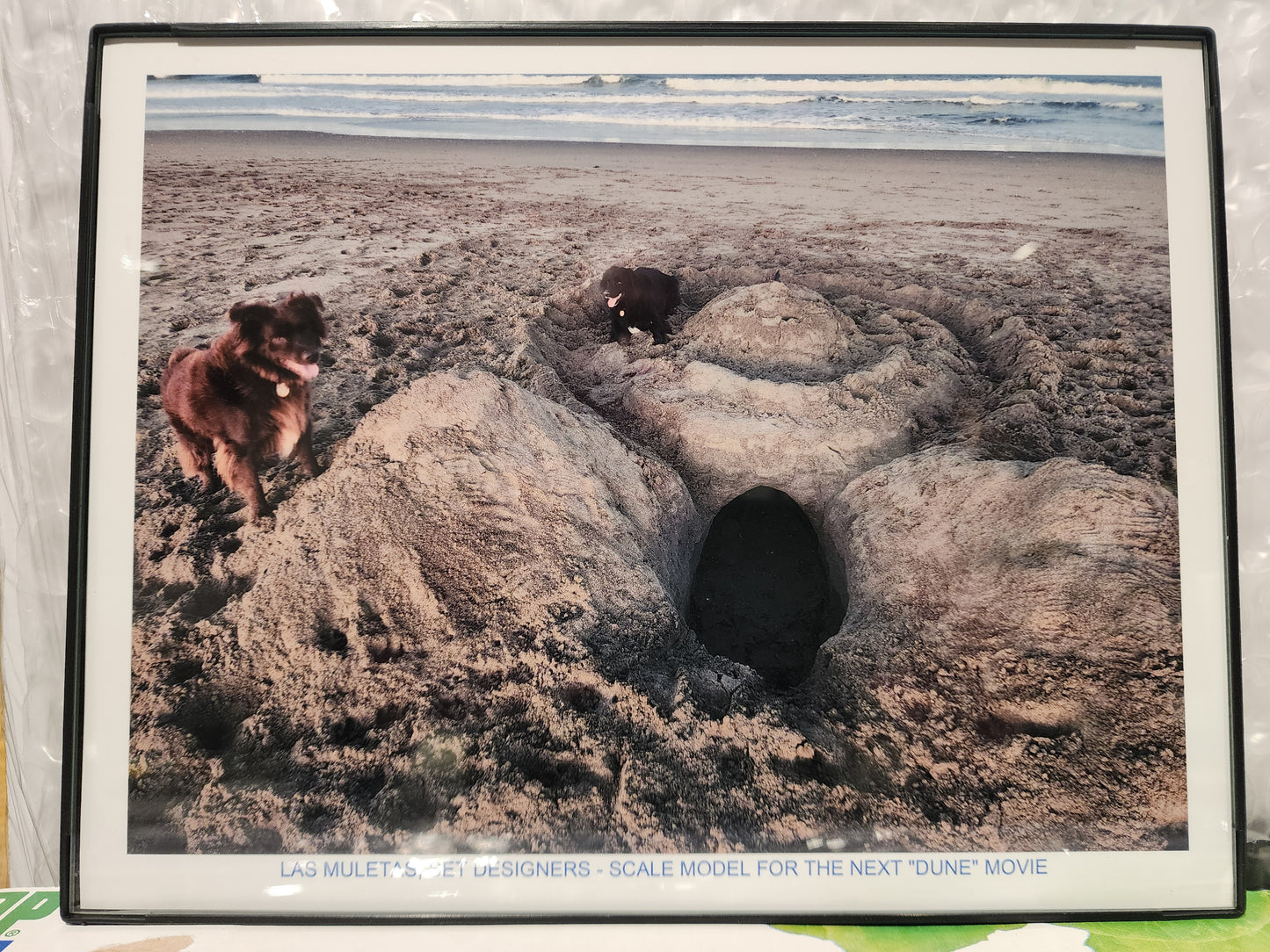 "Dune Stage Set" by David Buergler (Framed Print)