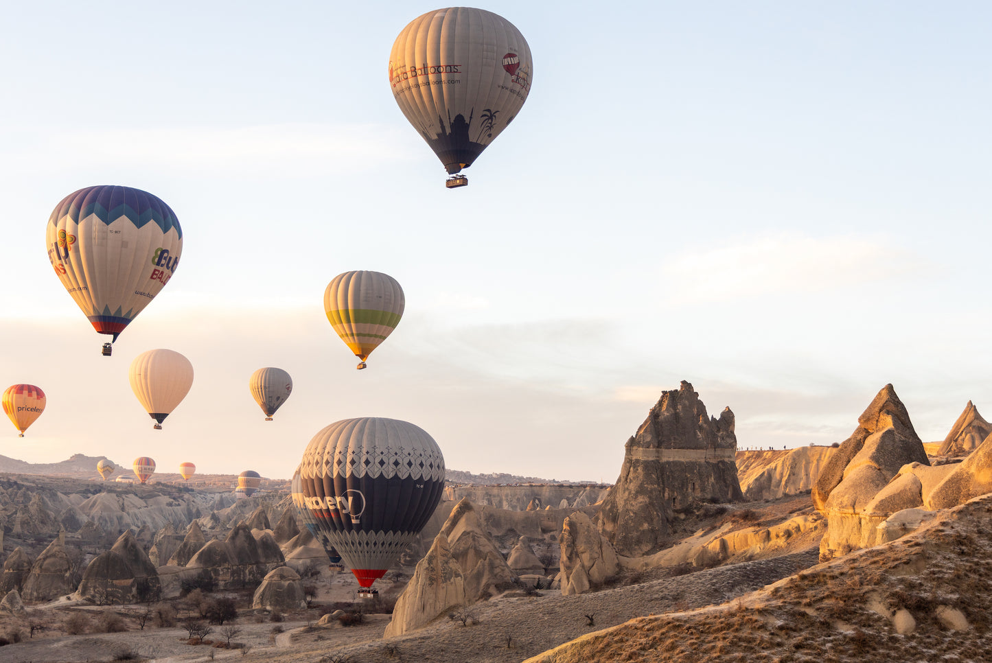"Balloons Over Cappadocia (2025)" by Dan Hernandez