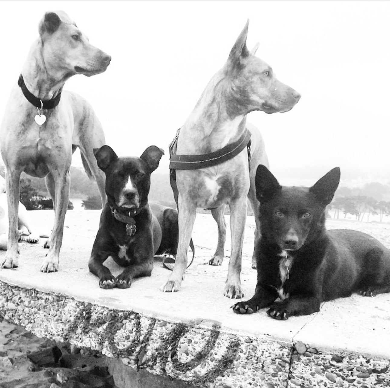 "Double Take" by Leslie Goodwin