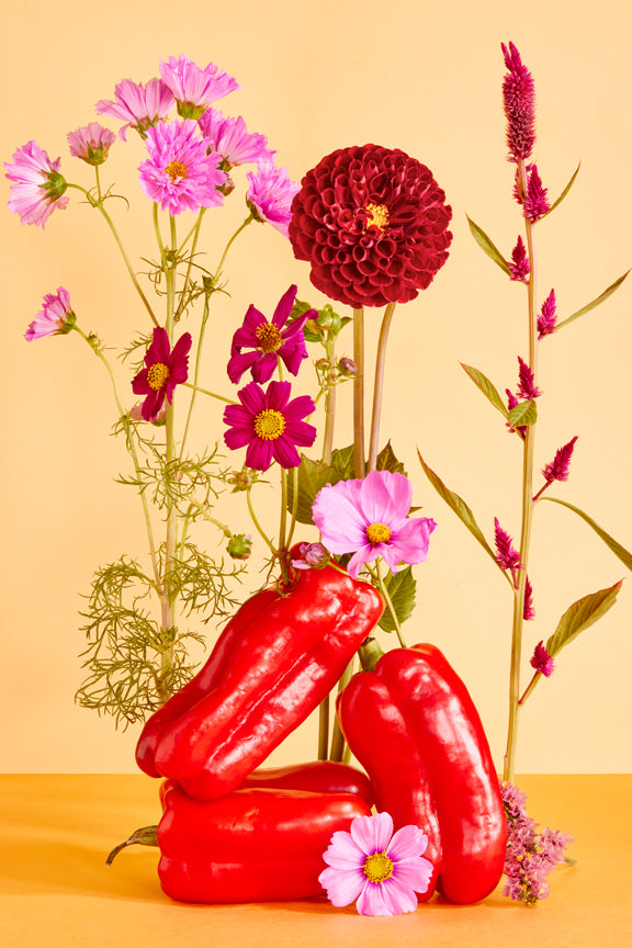 "Red Bell Peppers and Flowers" by Desirée Pfeiffer