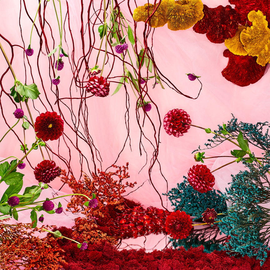 "What Is This World's Delight?" by Desirée Pfeiffer