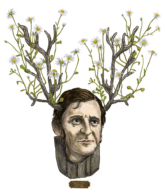 "Ralph Waldo Emerson" Philosophers and Flowers Series by David Starfas