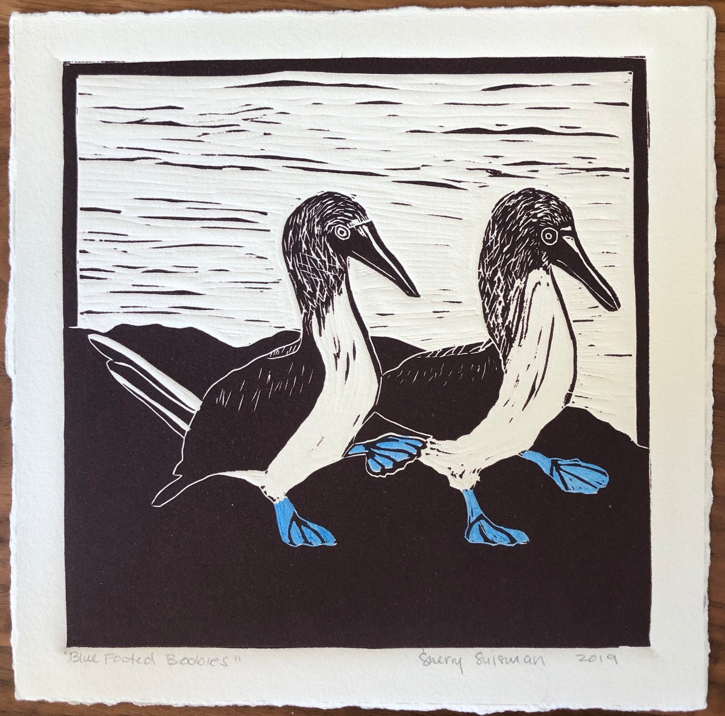 "Blue Footed Boobies" by Sherry Suisman