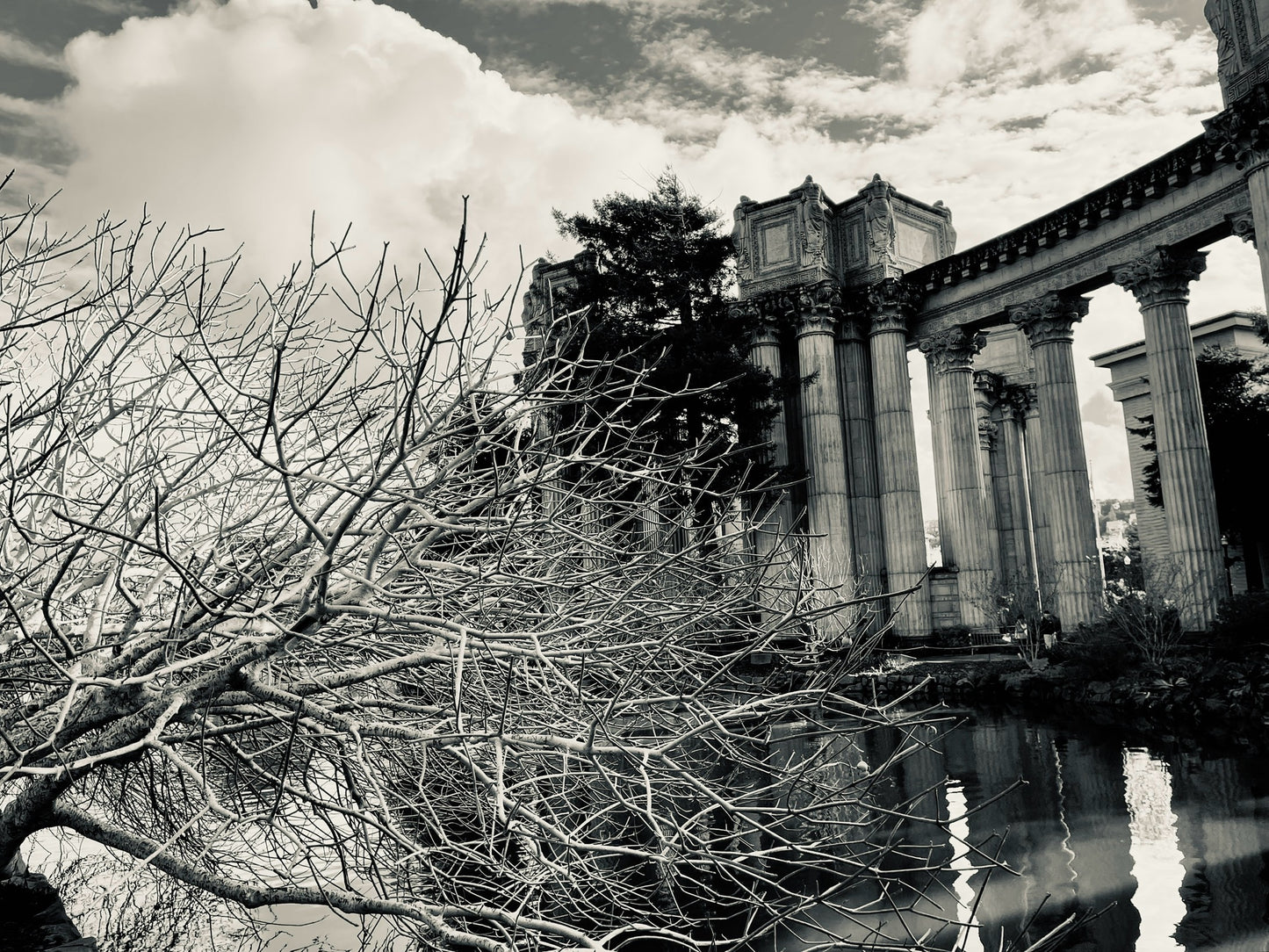 "Palace of Fine Arts" by Anita Beshirs