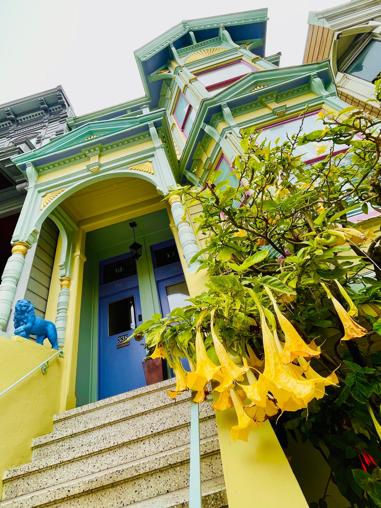 "Blue Lions of Scott Street" by Anita Beshirs