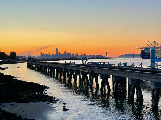 "Alameda Day Trip" by Anita Beshirs