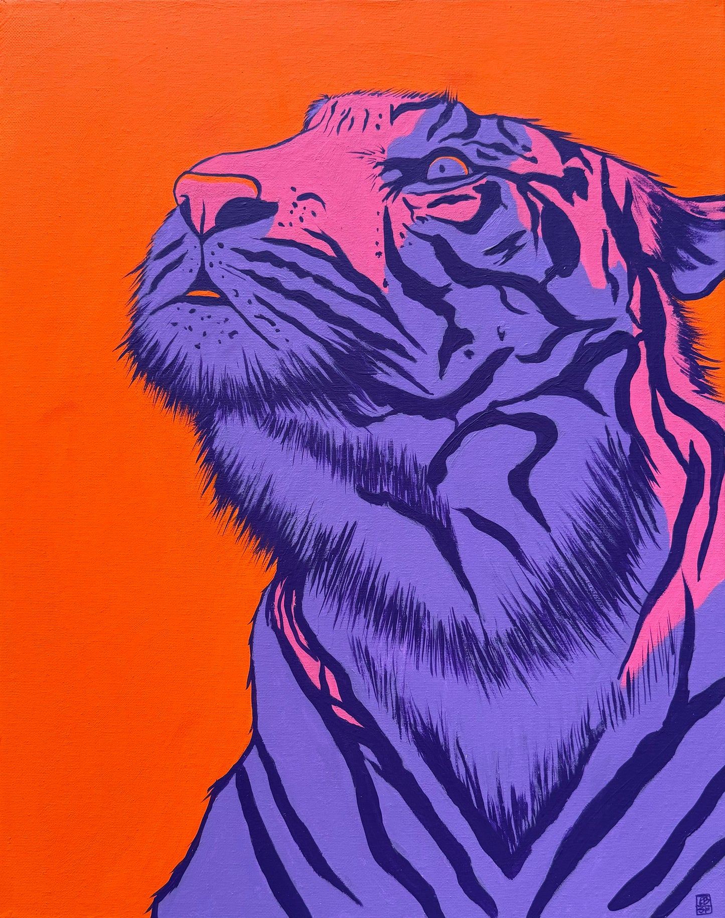 "Kitty Corner" by Eric HIERICBRO Broers