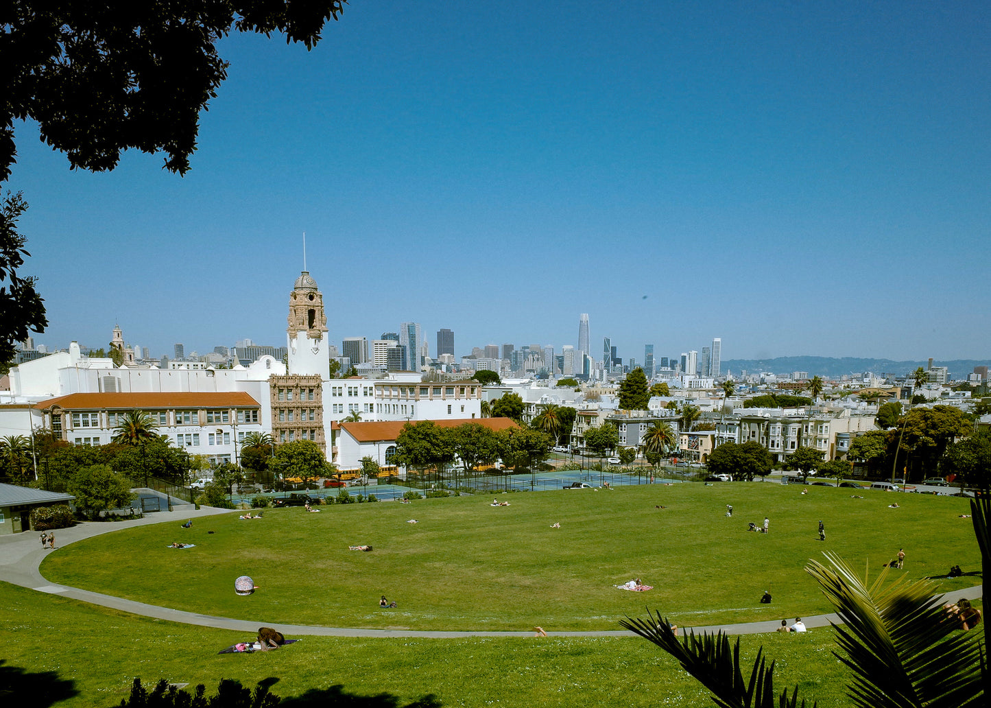 "Dolores Park" by Yani Damian