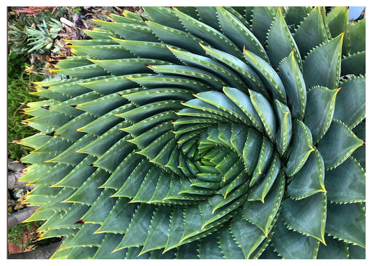 "Hold on or Let Go" by Yvette Fagan