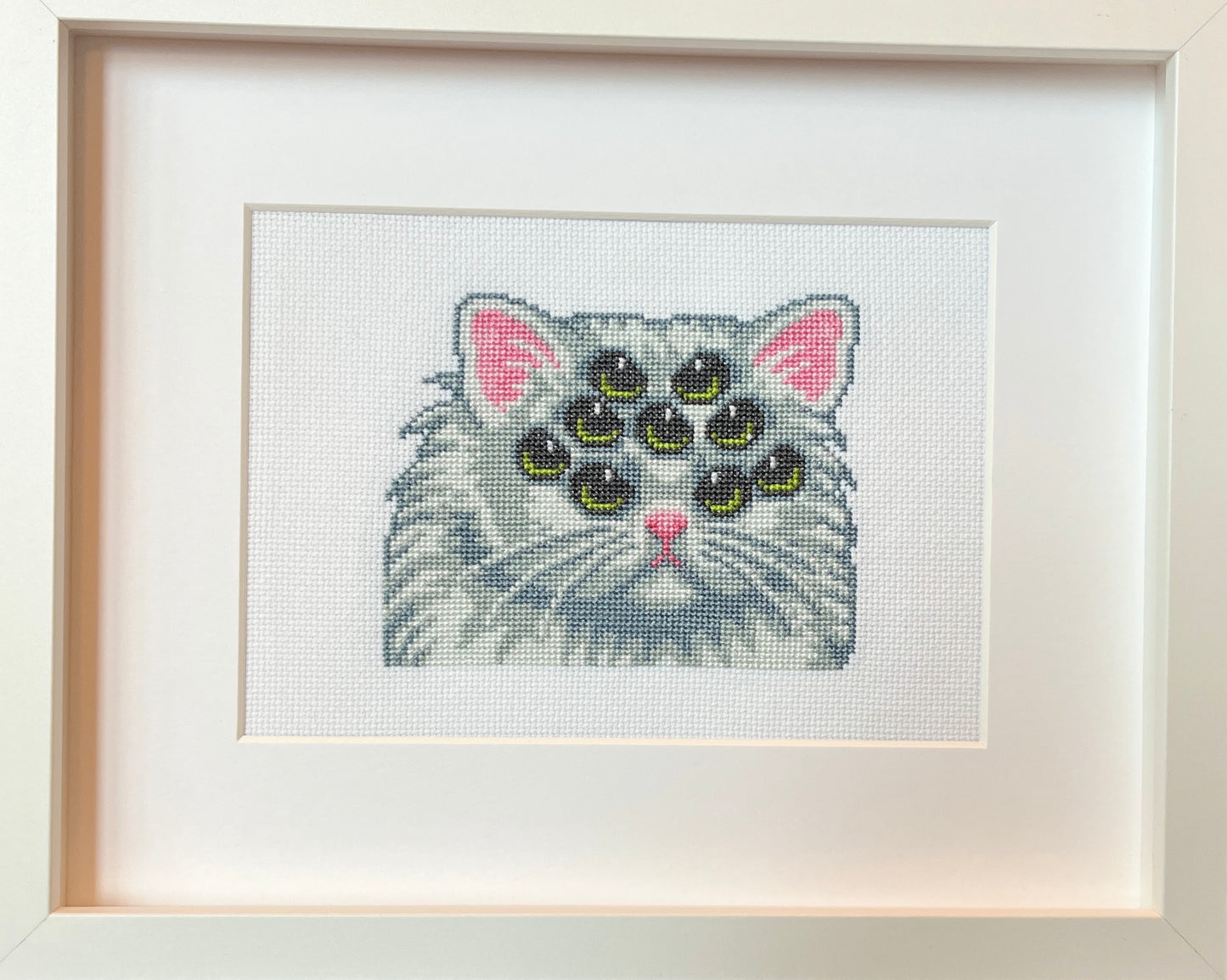 "Nine Eyes, Nine Lives" by Chandra Gandolfo