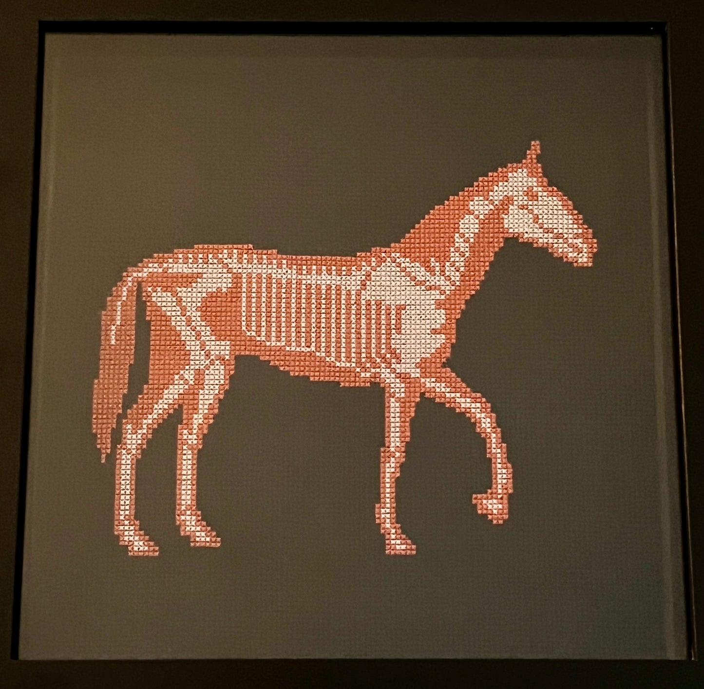 "Atomic Horse" by Chandra Gandolfo