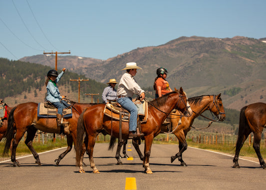 "Twin Lakes Road (2025)" by Dan Hernandez