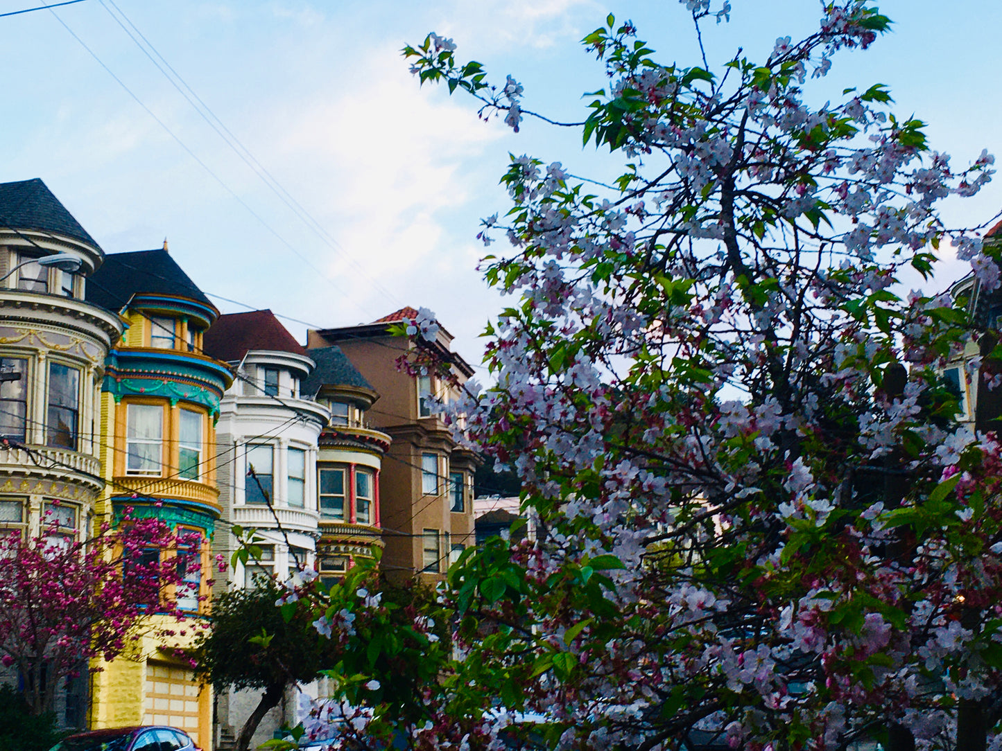 "Central Victorians" by Anita Beshirs