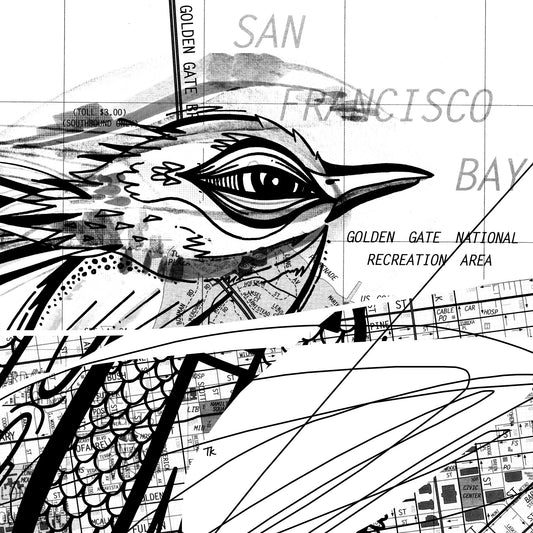 "Southbound Feathers" by Todd Kurnat