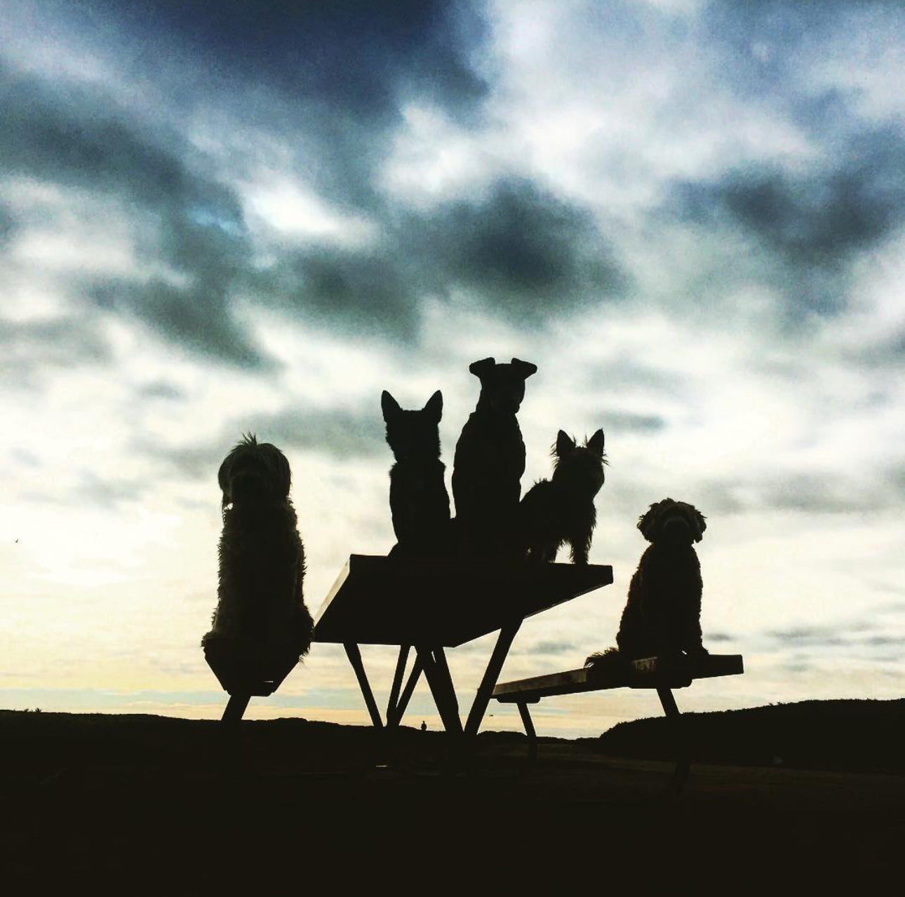 "Picnic at Dusk" by Leslie Goodwin