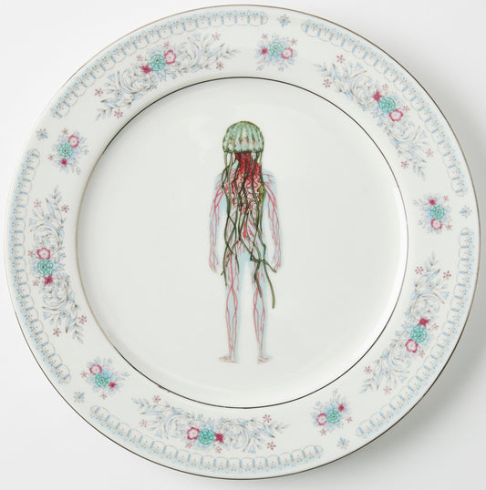 "Jelly Head" by Ellie Litzenberg