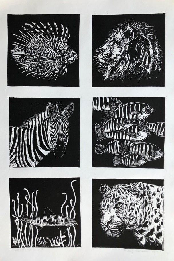 "Fish/Mammal Faceoff" by Sherry Suisman