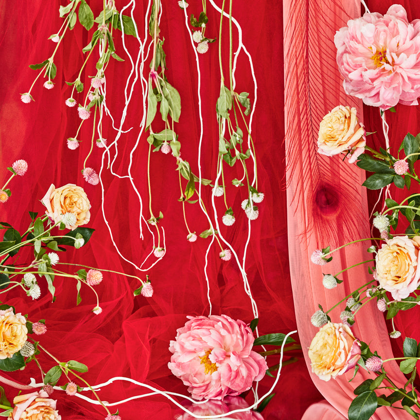 "Garden Roses" by Desirée Pfeiffer