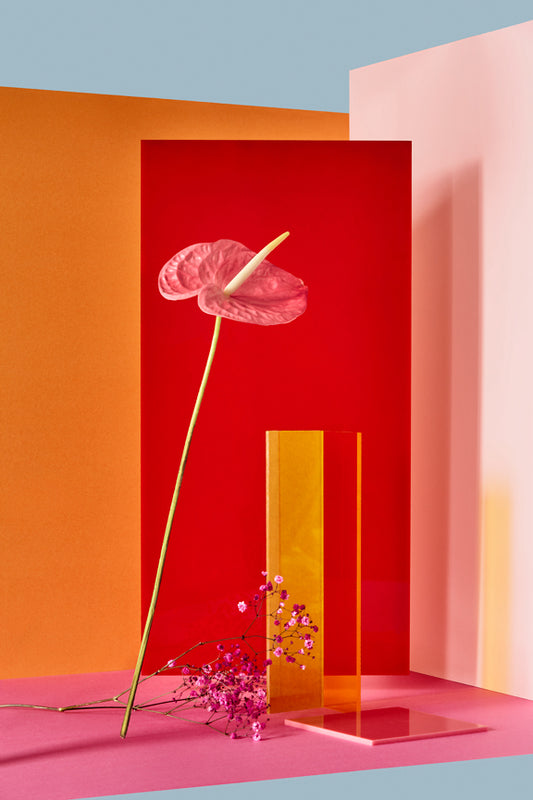 "Modern Flower" by Desirée Pfeiffer