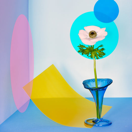 "Modern Poppy" by Desirée Pfeiffer