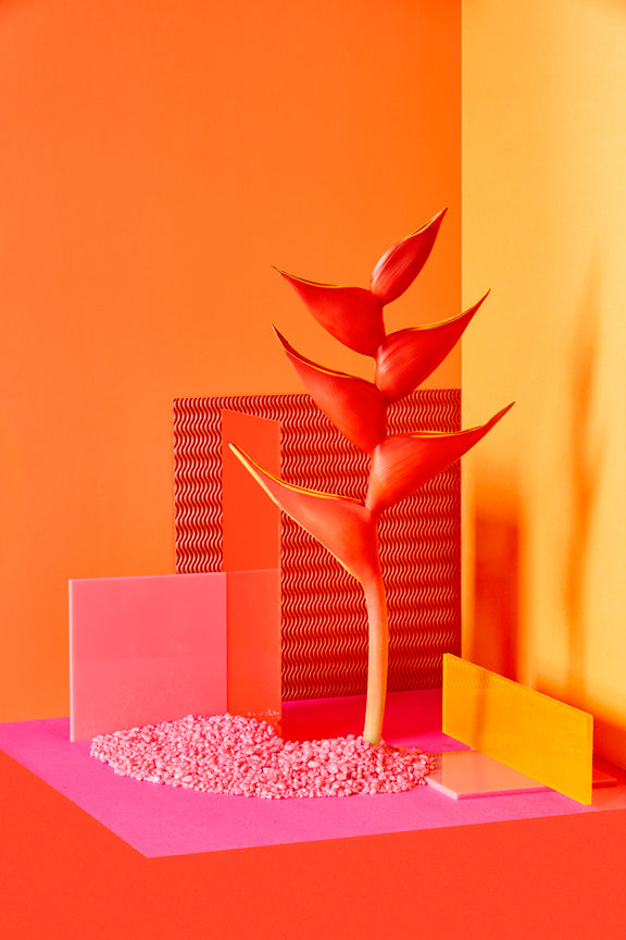 "New Wave Flower" by Desirée Pfeiffer