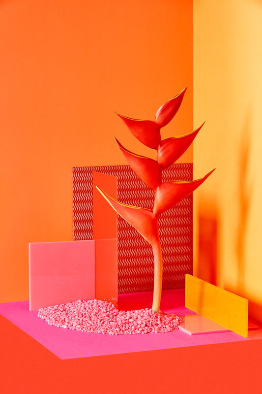 "New Wave Flower" by Desirée Pfeiffer