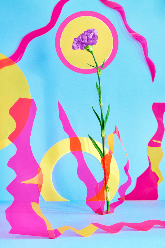 "Purple Carnation With Abstract Shapes" by Desirée Pfeiffer