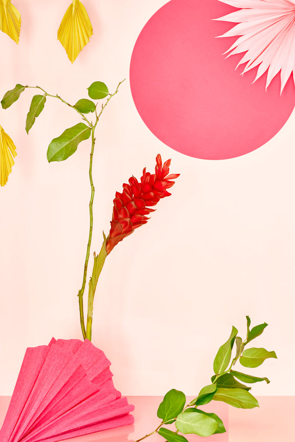 "Still Life With Hawaiian Ginger Flower" by Desirée Pfeiffer