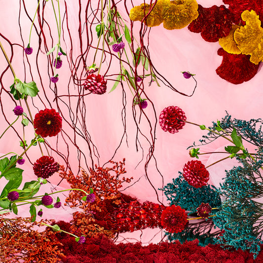 "What Is This World's Delight?" by Desirée Pfeiffer