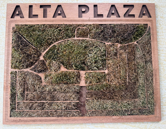 "Alta Plaza Moss Park" by Sai Sanigepalli