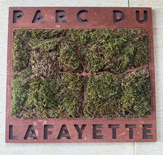 "Lafayette Moss Park" by Sai Sanigepalli