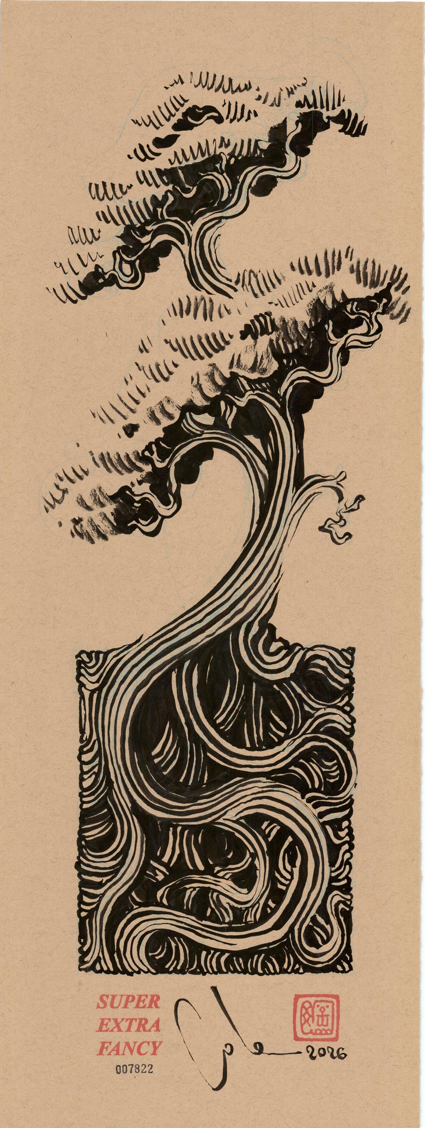 "Monterey Cypress Drawing #7822" by Cole Skaggs