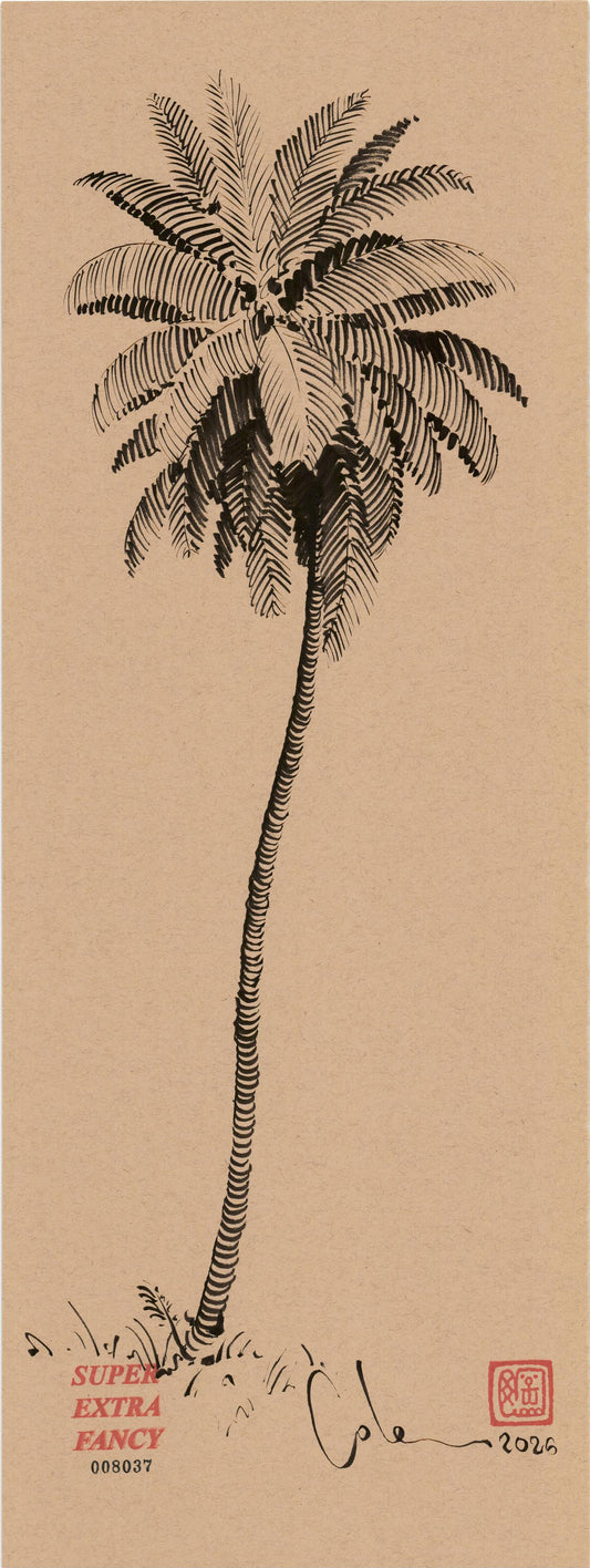 "Palm Tree Drawing #8037" by Cole Skaggs