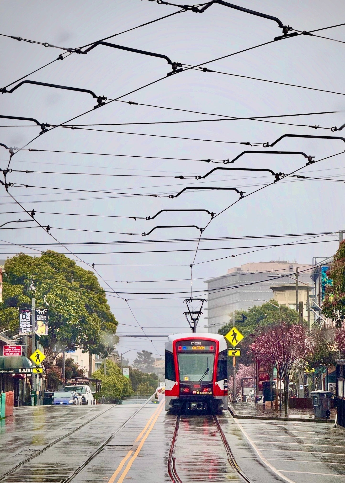 "N Judah in the Rain" by Caroline Smith