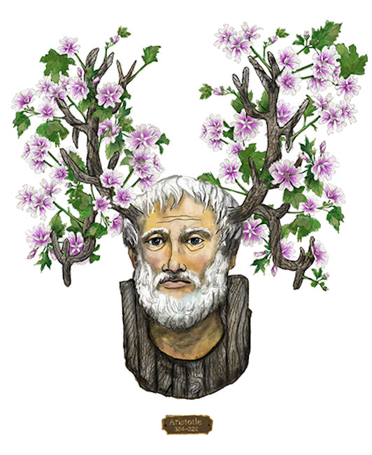 "Aristotle" Philosophers and Flowers series by David Starfas