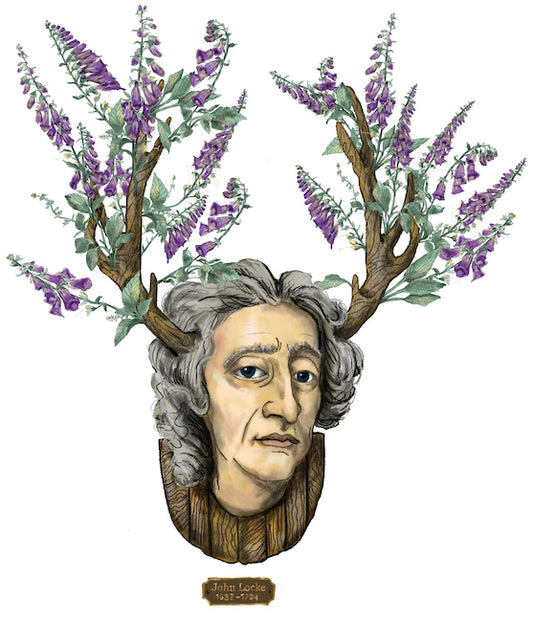 "John Locke" Philosophers and Flowers series by David Starfas