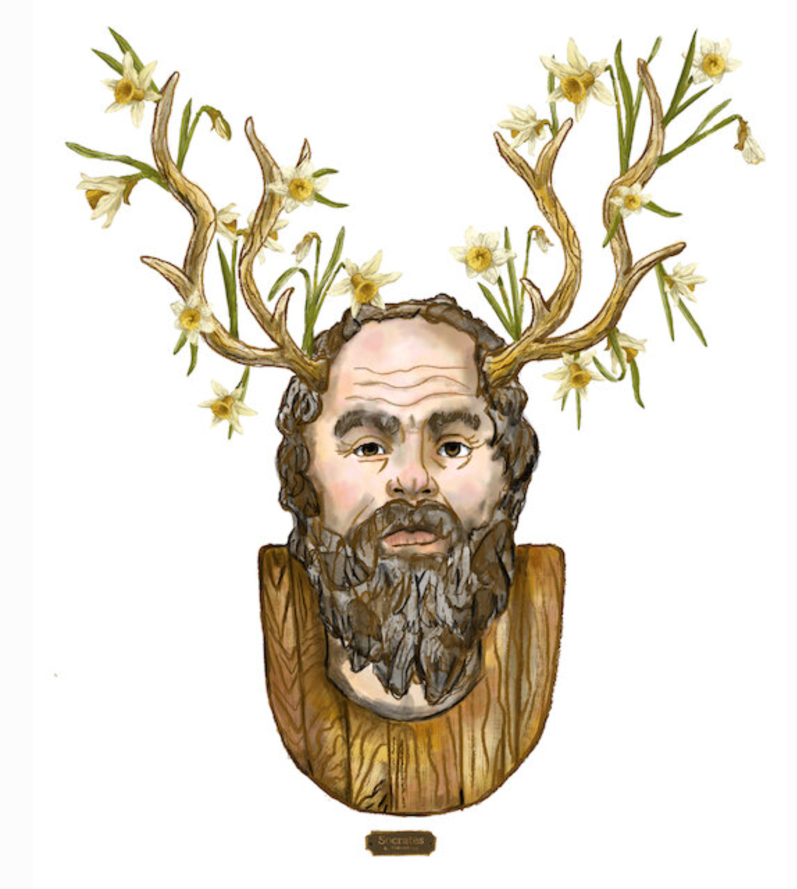 "Socrates" Philosophers and Flowers series by David Starfas