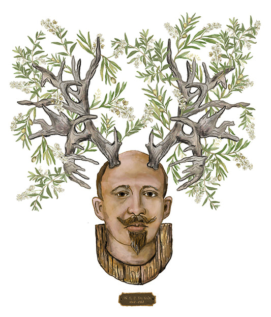 "W.E.B. Du Bois" Philosophers and Flowers series by David Starfas