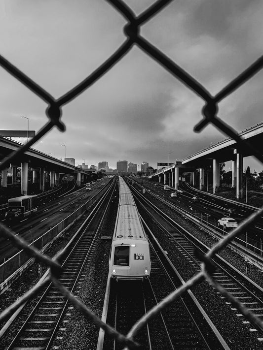 "BART Legacy" by Z White